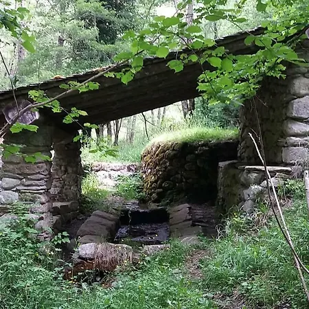La Feda Pyrenees Ariegeoises Holiday home *